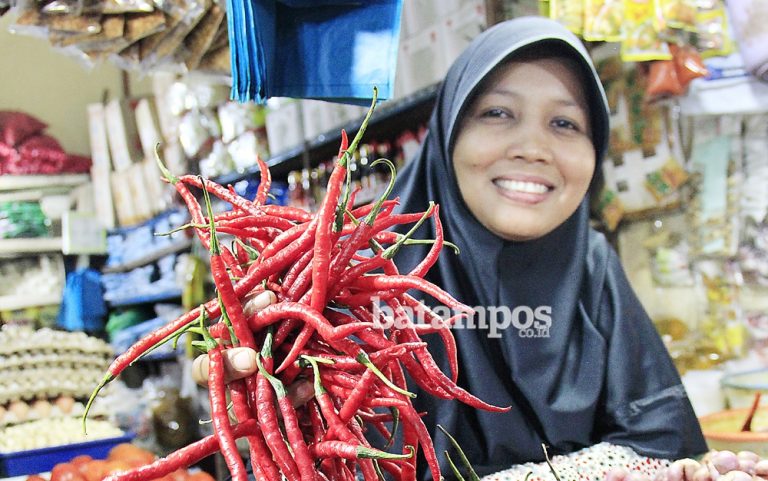 Harga Cabai Masih Tinggi dan Langka