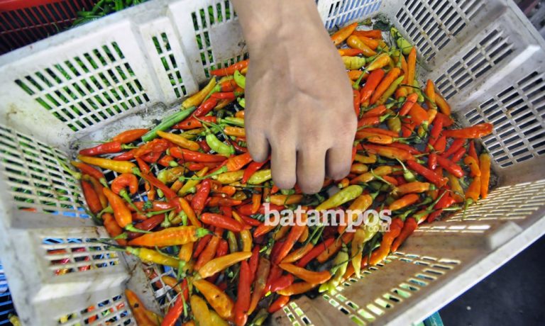 Di Tanjungpinang, Harga Cabai Turun 40 Persen