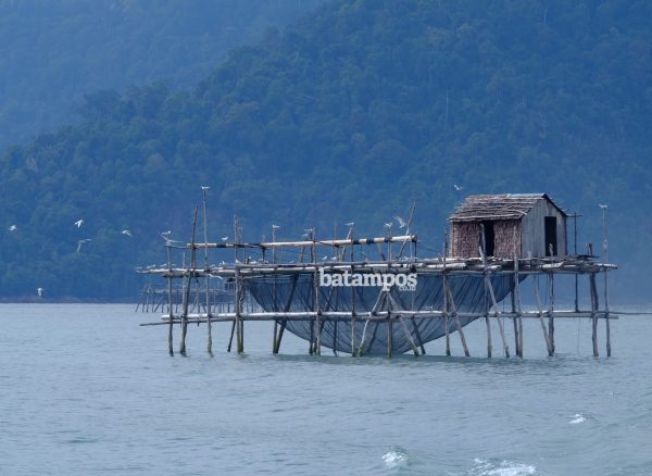 Jelang Imlek Nelayan Tajur Biru Bangun Kelong Dingkis