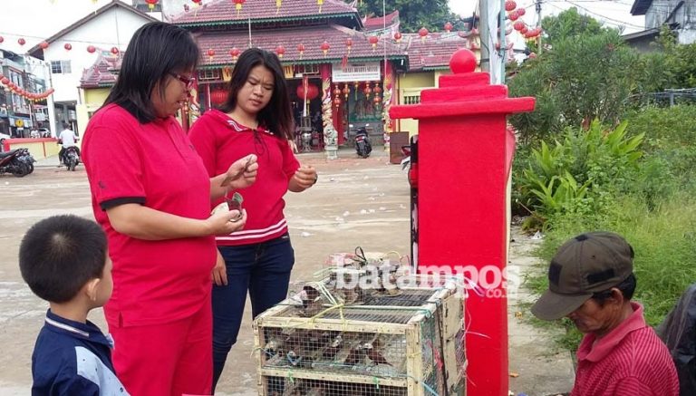 Tradisi Melepas Burung Pipit saat Imlek