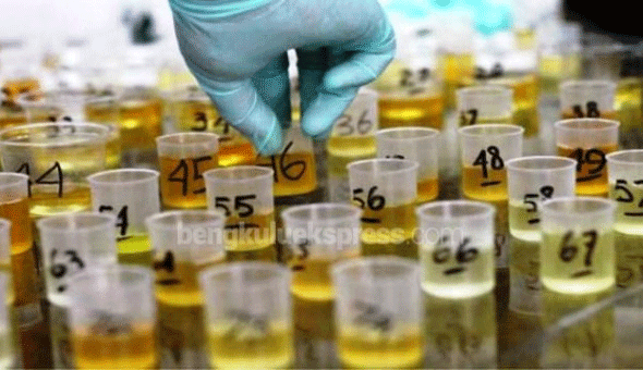 BNNP Kepri Cek Urine Awak Kabin 4 Maskapai, Hasilnya…