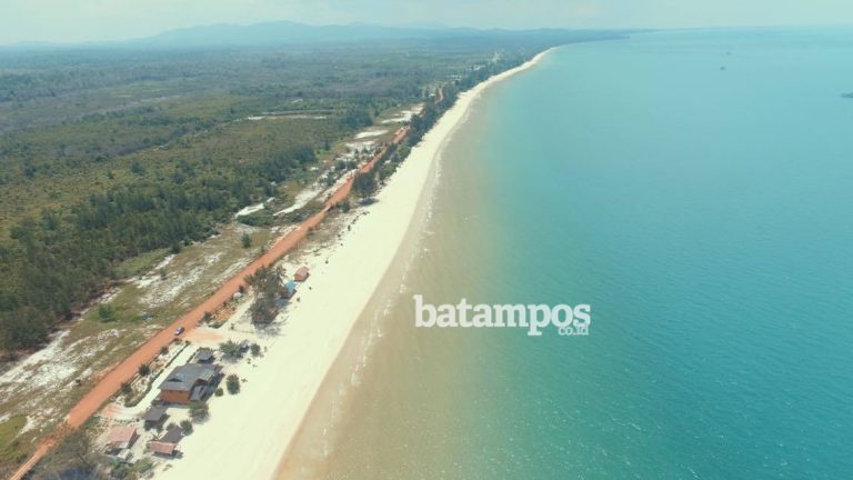 Tak Ada Polhut, Hutan Lindung Lingga Terancam