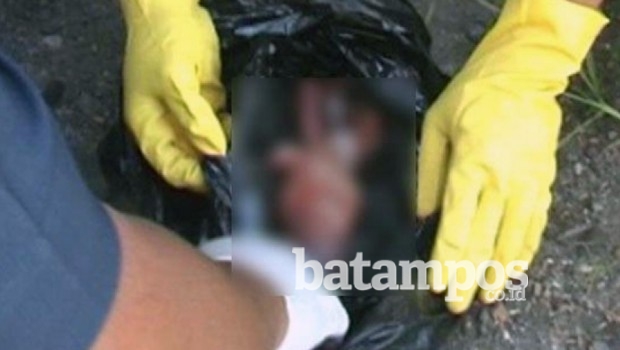 Tulang Belulang Janin Bayi Ditemukan di Lahan Kosong