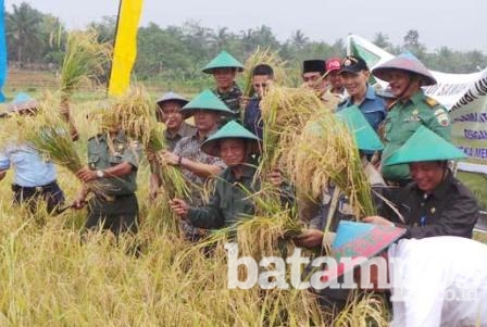 Dinas Pertanian Siap Latih Penyuluh Desa