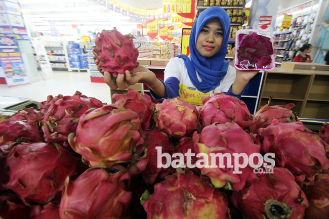 Buah Naga Merah Turun Harga Lagi