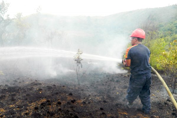 Hutan di Natuna Rawan Terbakar