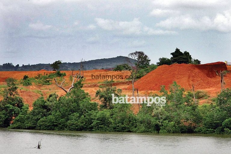 BP Batam Keluarkan Ketentuan Baru Soal Fatwa Planologi