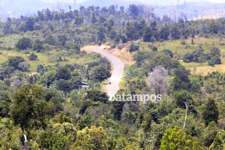 Penyelesaian Lahan Terlantar Dipercepat