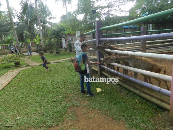 Gratis Melihat Aneka Hewan di Mini Zoo Kijang