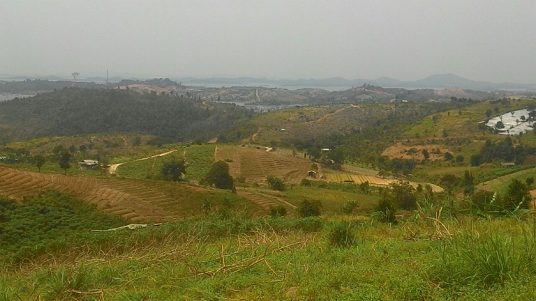 BP Batam Tertibkan 500 Hektare Kebun di Sekitar Dam Duriangkang