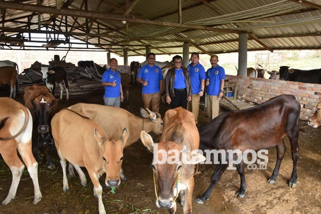 Tingkatkan Produksi Sapi dengan Program Inseminasi