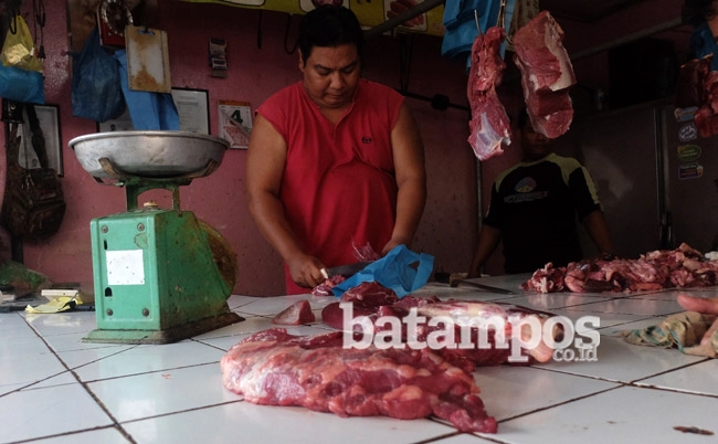 Daging Sapi Masih Kurang, Pinang Programkan Upsus Siwab