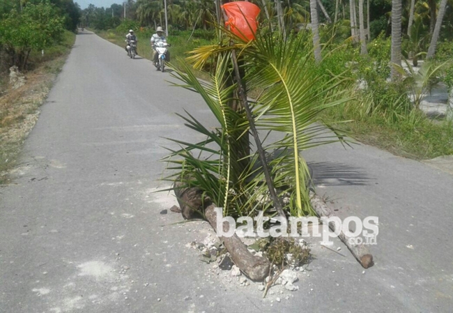 Hindari Kecelakaan Warga Pasang Batang Kelapa