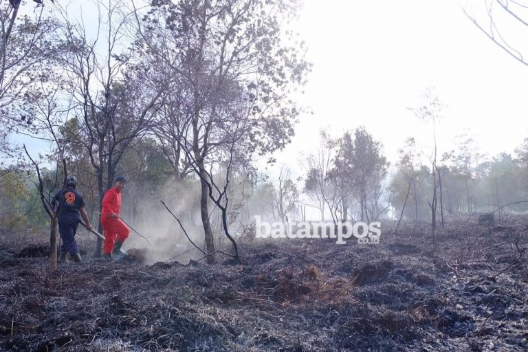 Gara-gara Puntung Rokok Lahan seluas 2 Hektare Terbakar