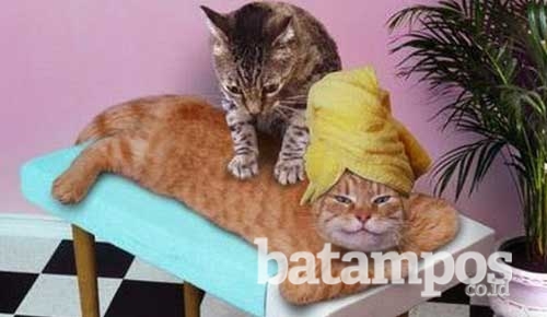 Panti Pijat Diduga Dijadikan Tempat Prostitusi