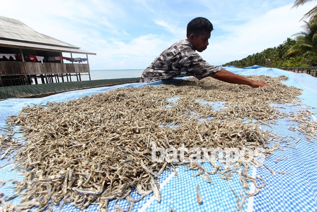 Nelayan Bisa Hasilkan Belasan Juta Perbulan