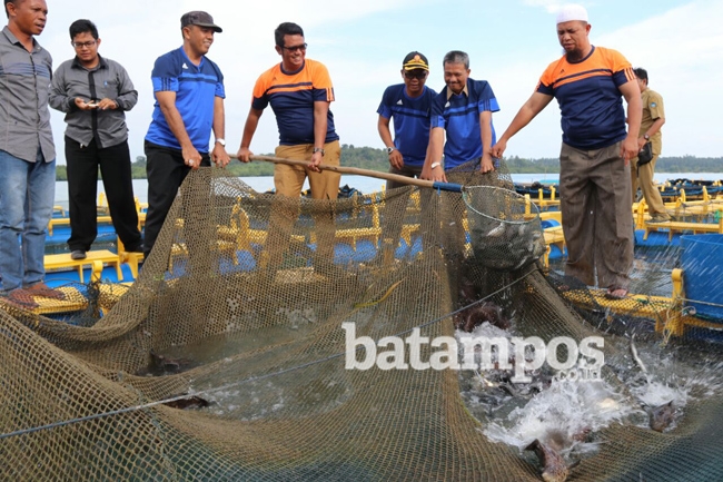 Tingkatkan Pertumbuhan Ekonomi, Maksimalkan Sektor Perikanan