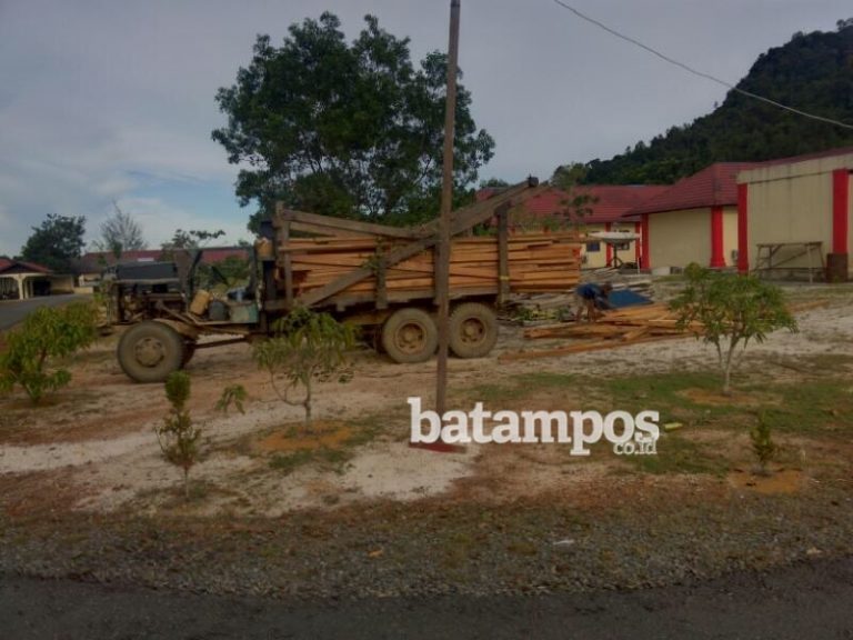 Lima Ton Kayu Kapur Diamankan Polres Lingga