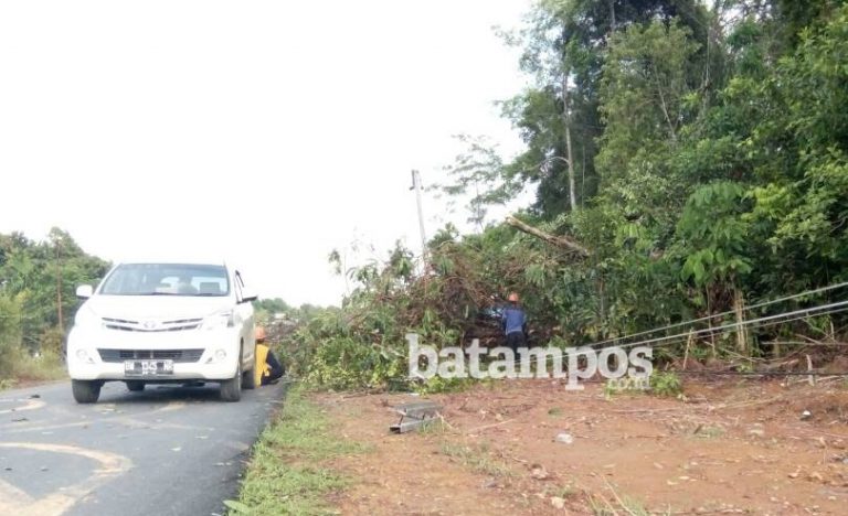 Tiang Listrik Tumbang Arus Lalulintas Terganggu