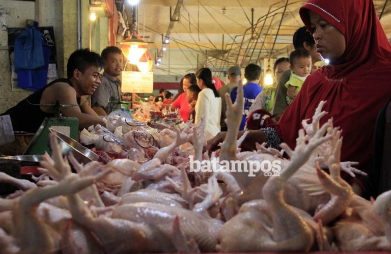 Harga Ayam Es Naik Rp 2 Ribu