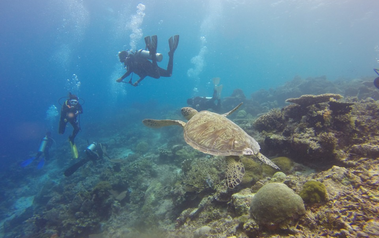 Kemenpar Ikut MIDE 2017, Siap Boyong Ratusan Ribu Divers Malaysia