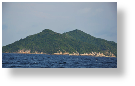 Konservasi Penyu harus Ditangani Tenaga Profesional