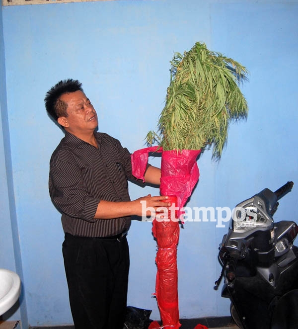 Tanam Ganja di Dalam Rumah