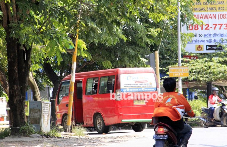 Lampumerah Tertutup Daun