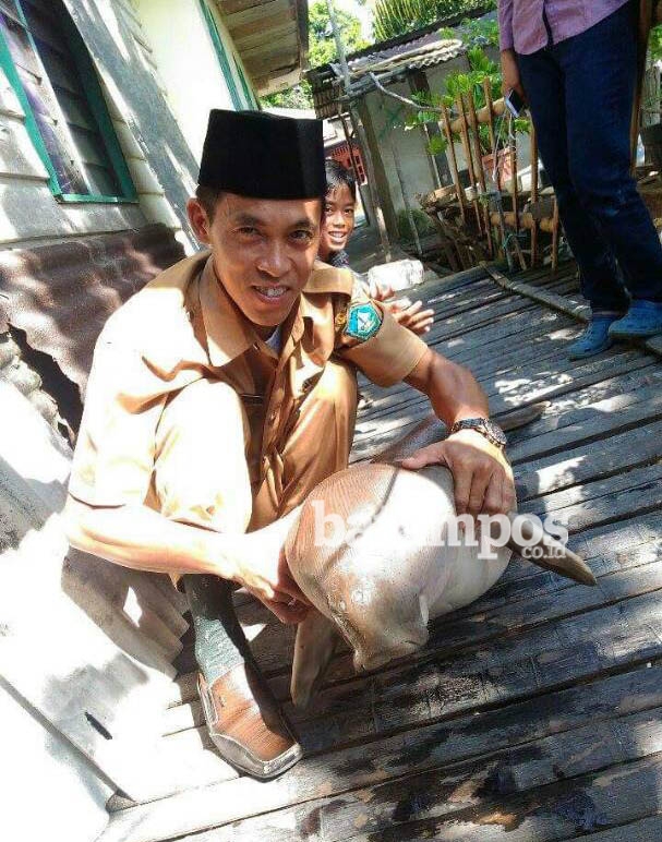 Anak Dugong Mati Terjerat Jaring Nelayan
