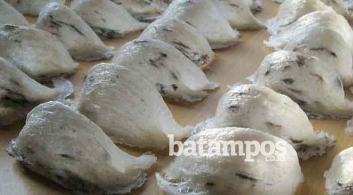 Pemkab Tak Bisa Tarik Pajak Burung Walet