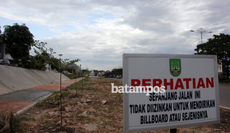 Pemko Batam Tanam Ketapang Kencana sebagai Peneduh Jalan