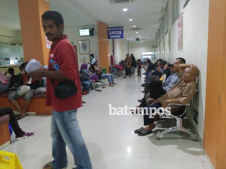 Pasien DBD Menurun, Semester Pertama, RSUD Batam Terima 37 Pasien