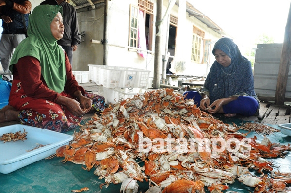 Olahan Kepiting Busung Tembus Pasar Amerika