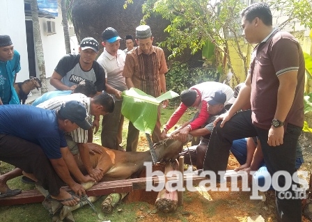 Bagikan Daging Kurban untuk Suku Duane