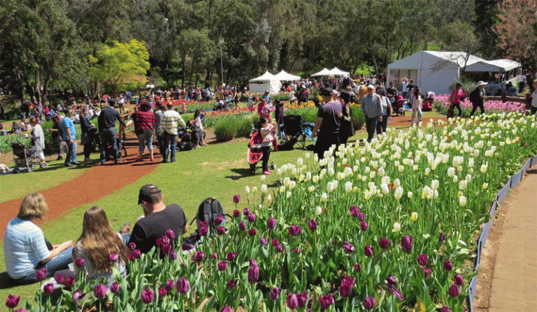 Kuliner Indonesia Siap Goyang Lidah Australia di Spring Festival 2017 Araluen
