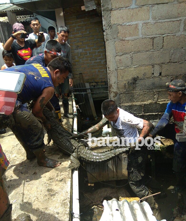 Warga Jalan Akasia Dihebohkan Penemuan Buaya