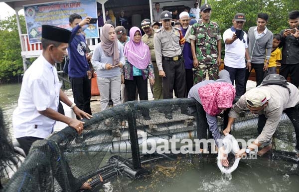 Budidaya Ikan Kerapu Jadi Produk Unggulan Desa