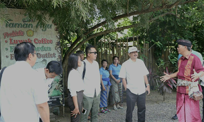 Cicipi Kopi Luwak di Taman Ayu, Bali