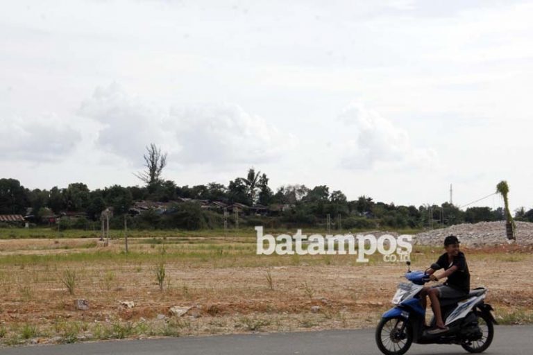 BP Batam Ambil Jaminan Investasi jika Pengusaha Tak Membangun Lahan yang Dialokasikan