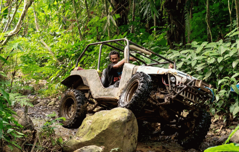 Offroad Menembus Hutan Pinus di Desa Wisata Nglinggo