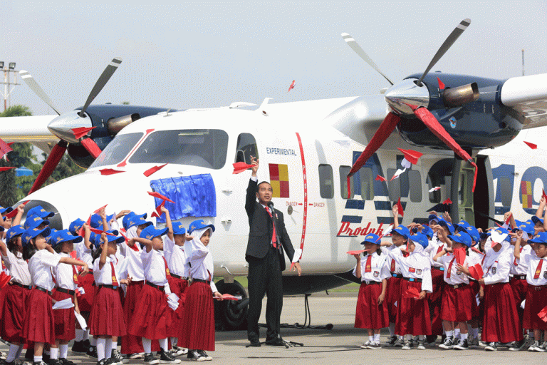 Meksiko Lirik Pesawat N219