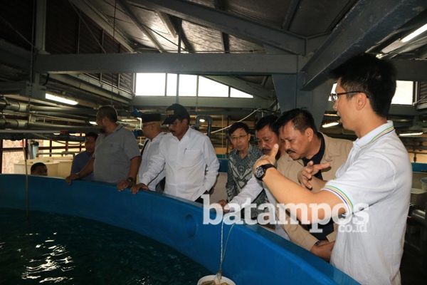 Majukan Bisnis Marine Aquaculture di Kepri