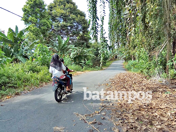 Jalan Tarempa-Desa Tiangau Perlu Perawatan