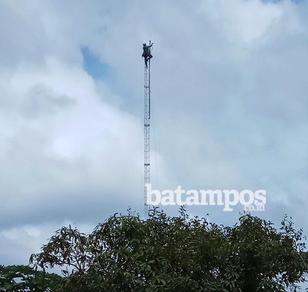 Tunggu Kehadiran Operator Selular