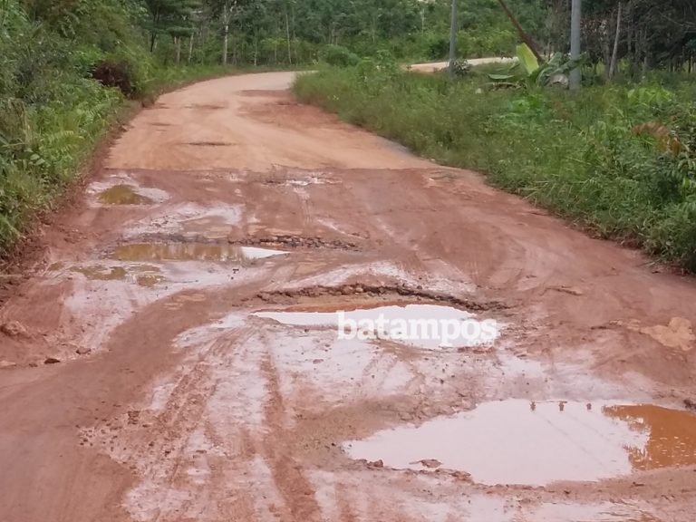 Jalan Desa Teluk Radang Mirip Kubangan Sapi