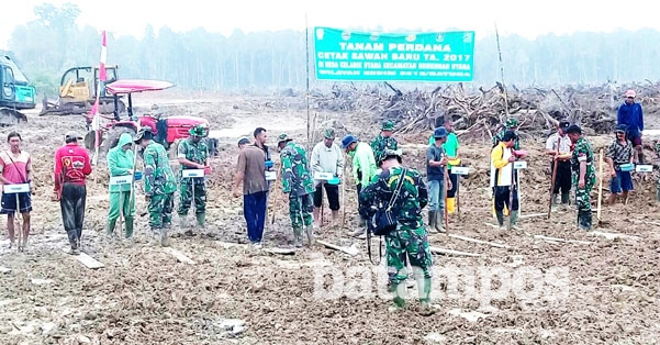 Sawah Kelarik Mulai Ditanam