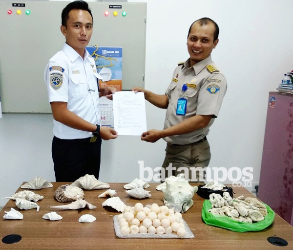 Penyeludupan Telur Penyu Digagalkan