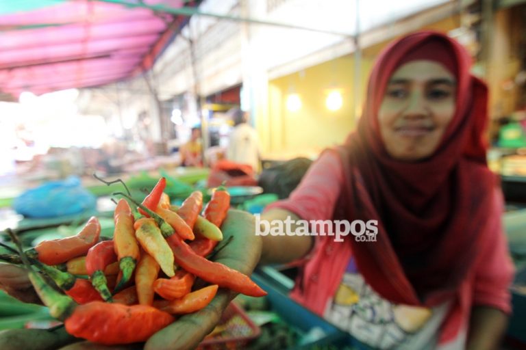 Di Batam, Harga Cabai Setan Rp 120 Ribu per Kilogram