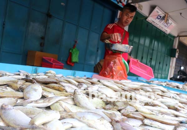Dingkis, Ikan Pembawa Berkah