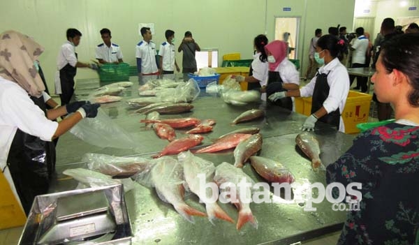 Pelelangan Ikan Tunggu Perda Retribusi